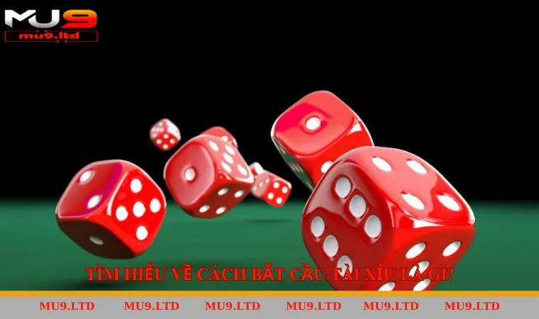 Tìm hiểu về cách bắt cầu tài xỉu tại MU9