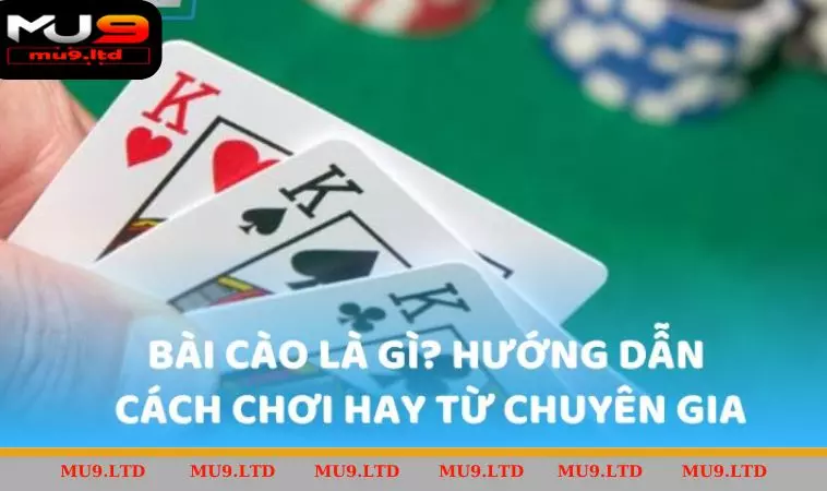 Lựa chọn bàn chơi và đặt cược