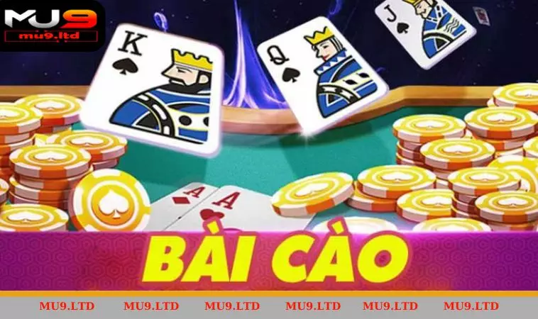 Tổng quan về các quy tắc cơ bản trong trò chơi bài  