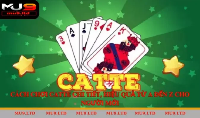 Cách Chơi Catte Chi Tiết, Hiệu Quả Từ A Đến Z Cho Người Mới