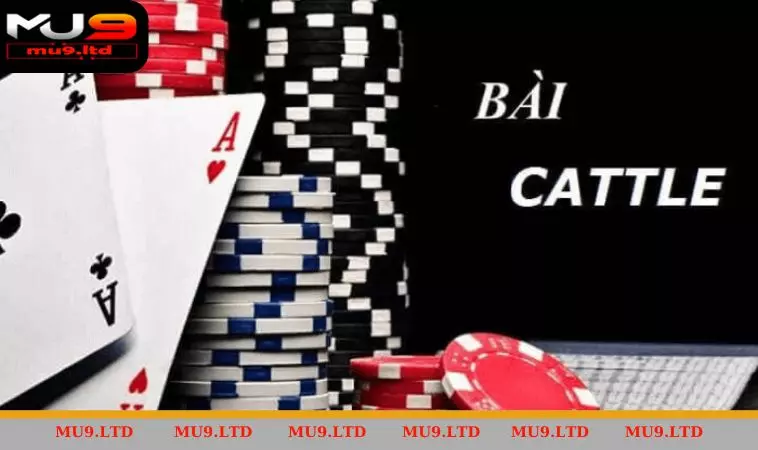 Giới thiệu bài Catte