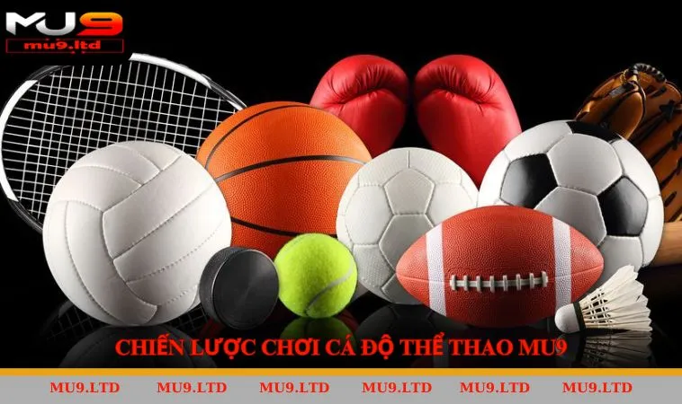 Mẹo tham gia cá cược tại sảnh game